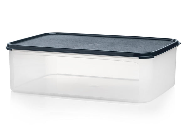 CAJA ORGANIZADORA 9,4 LT