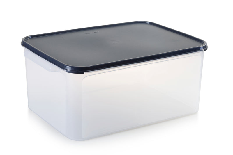 CAJA ORGANIZADORA 15 LT